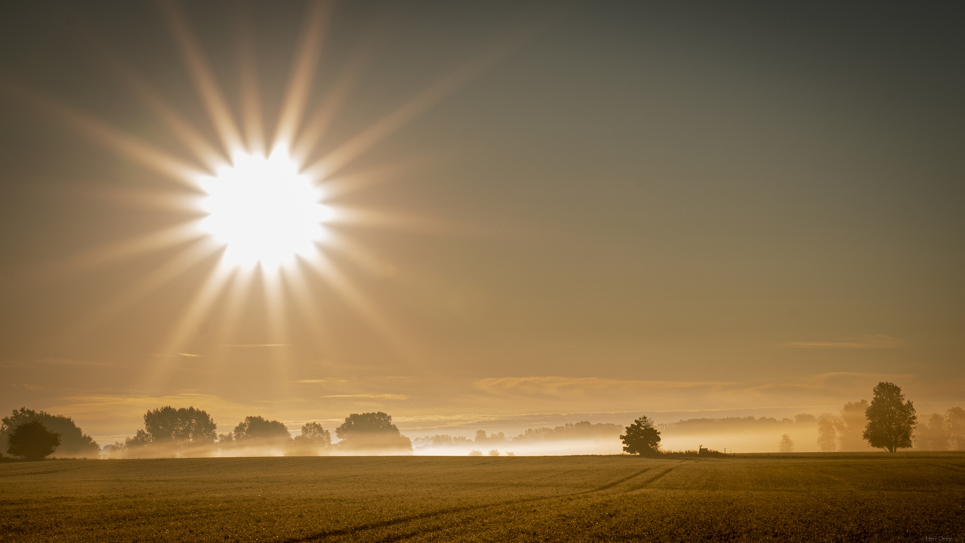 Früher Morgen