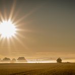 Früher Morgen