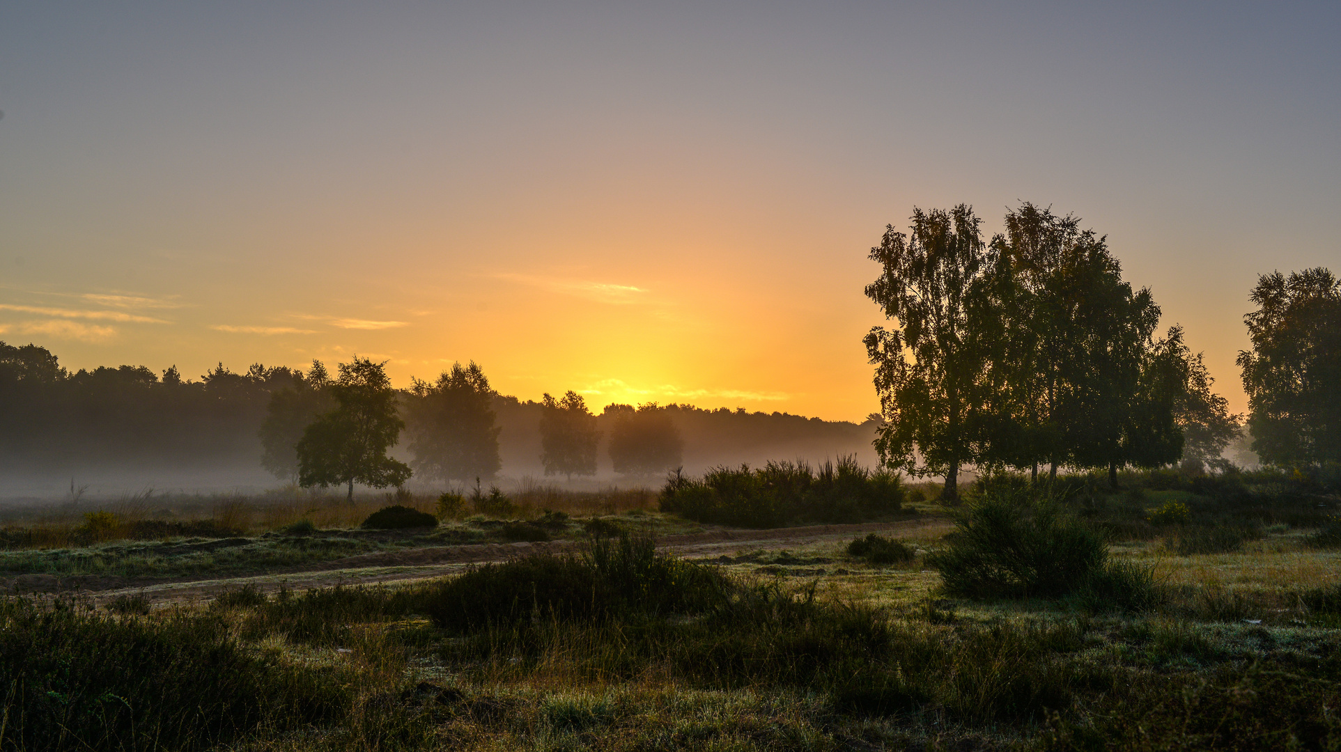 Früher Morgen