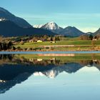 Früher Morgen im Allgäu