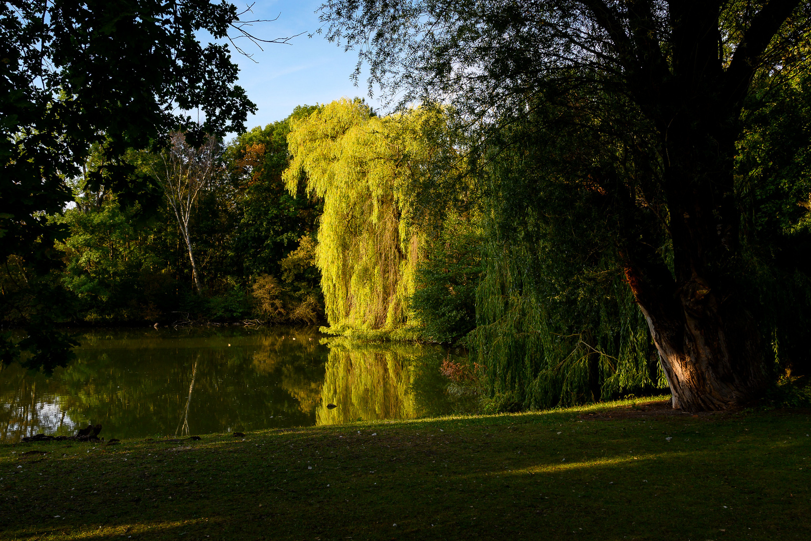 Früher Morgen im Bürgerpark in Braunschweig_1