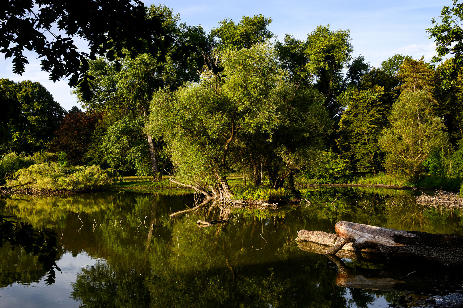 Früher Morgen im Bürgerpark in Braunschweig_2