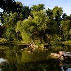 Früher Morgen im Bürgerpark in Braunschweig_2