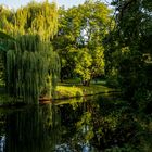 Früher Morgen im Bürgerpark in Braunschweig_5