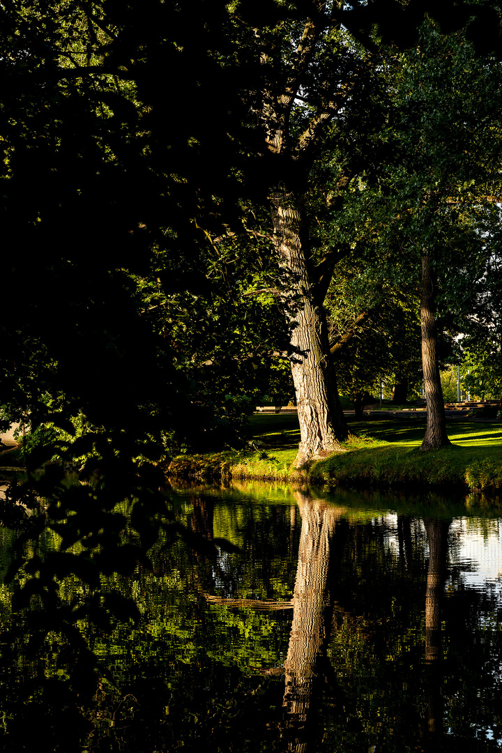 Früher Morgen im Bürgerpark in Braunschweig_6