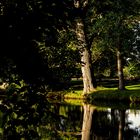 Früher Morgen im Bürgerpark in Braunschweig_6