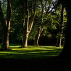 Früher Morgen im Bürgerpark in Braunschweig_7