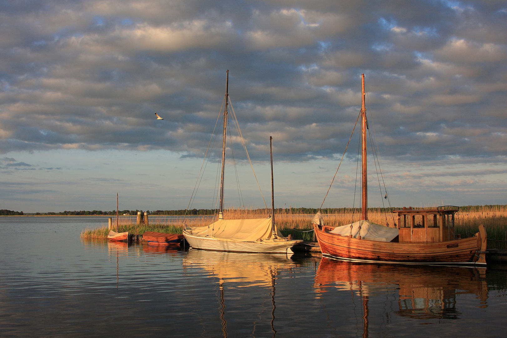 Früher Morgen im Hafen von Wieck