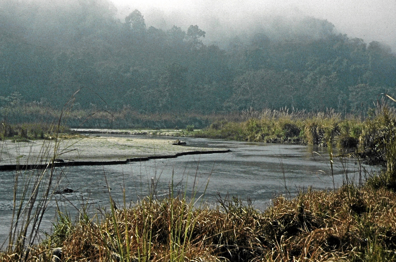 Früher Morgen im Terai