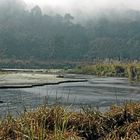 Früher Morgen im Terai