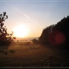 Früher Morgen im Vogelsberg