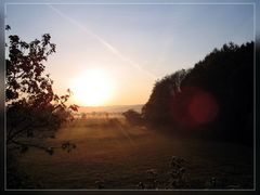 Früher Morgen im Vogelsberg