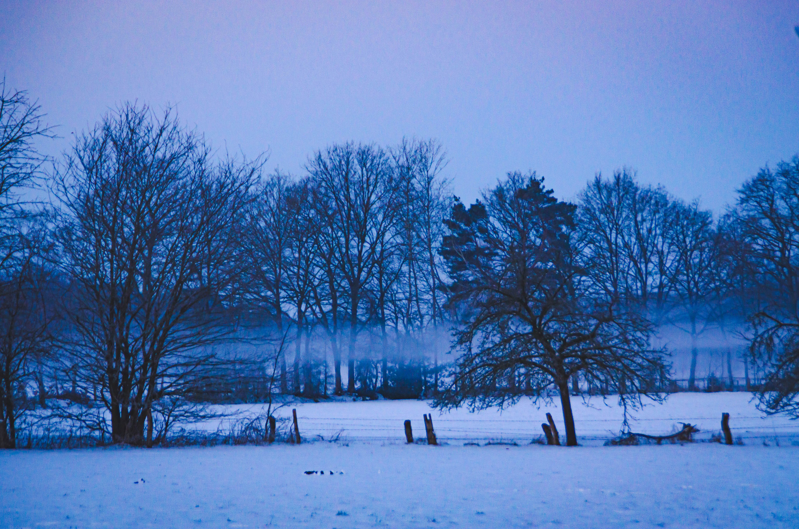 Früher Morgen im Winter