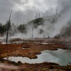 früher Morgen im Yellowstone Nationalpark