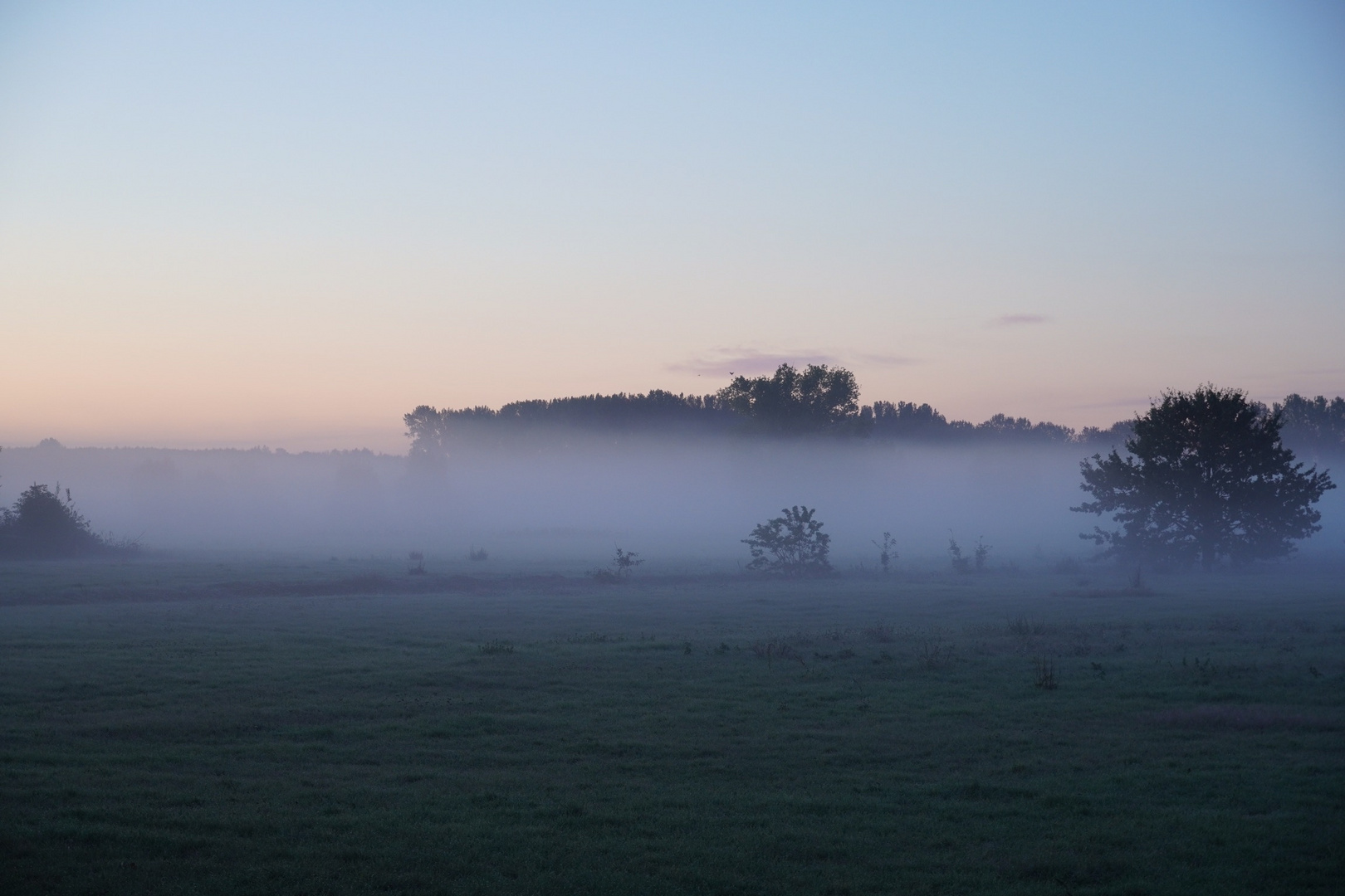 Früher Morgen in Boltenhagen