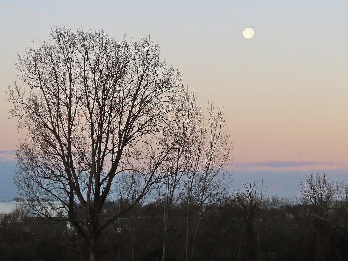 Früher Morgen(2)