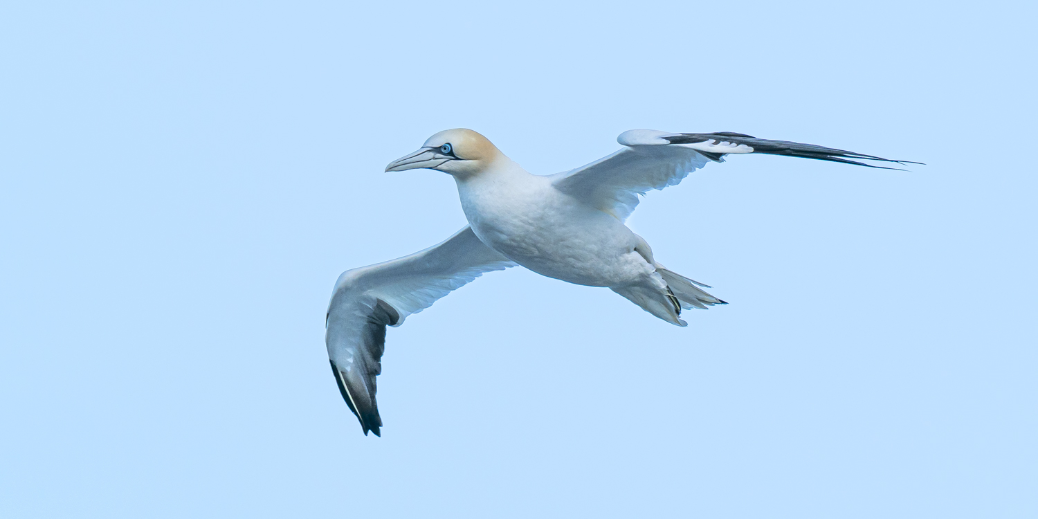 Früher Morgenflug