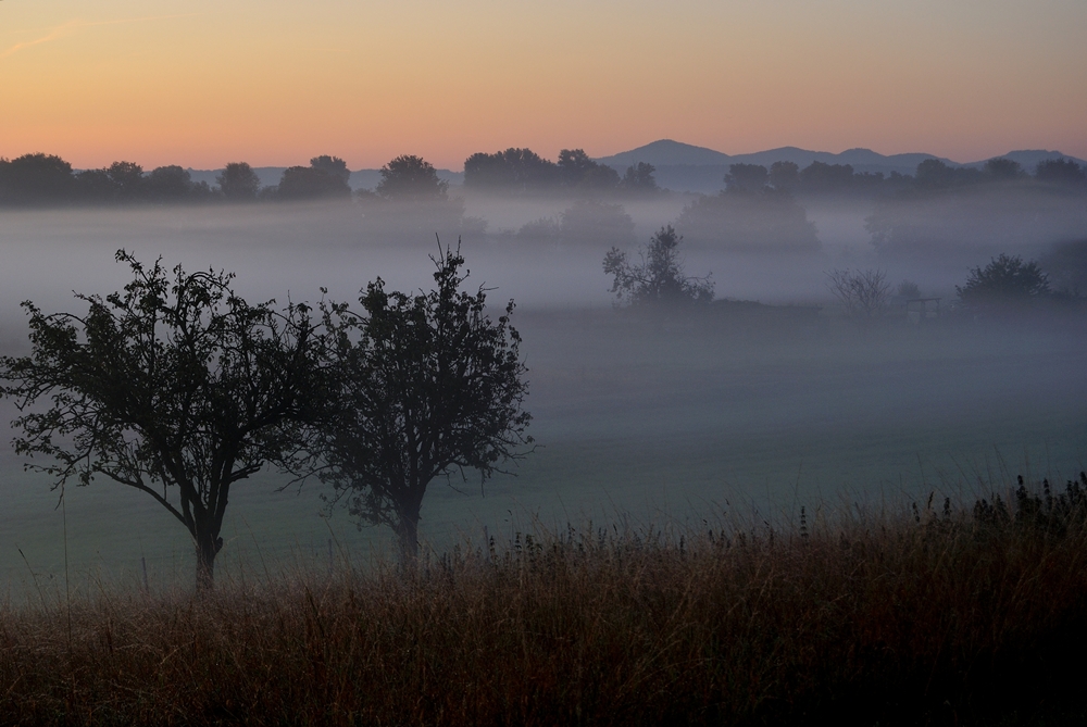 Früher Nebel