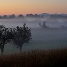 Früher Nebel