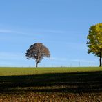 Früher ....... oder ........ später