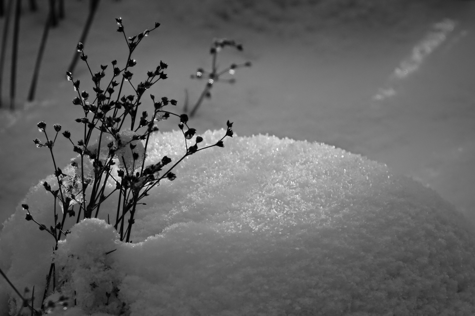 früher Schnee in 2023