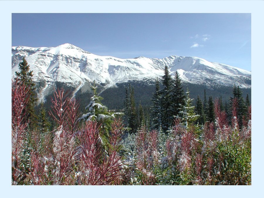 Früher Schnee in den can. Rockies