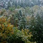 früher Schnee Mitte Oktober auf noch buntes Herbstlaub an den Bäumen