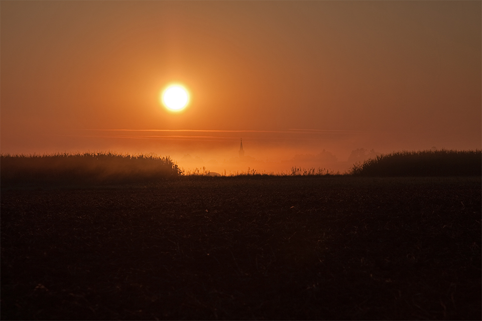 früher Sommermorgen im Südburgenland