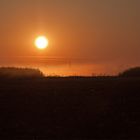 früher Sommermorgen im Südburgenland