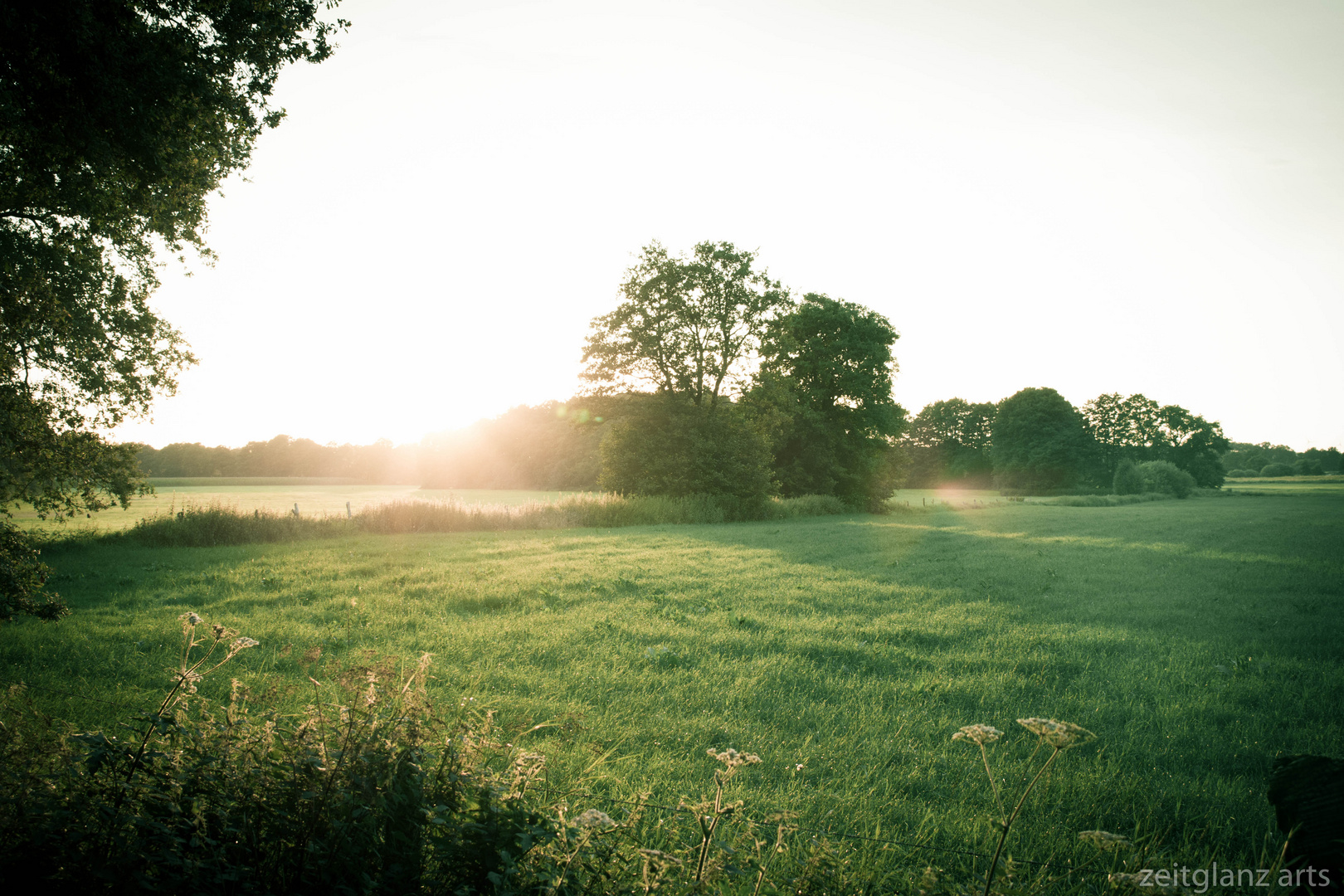 Früher Sonnenuntergang über den Wiesen