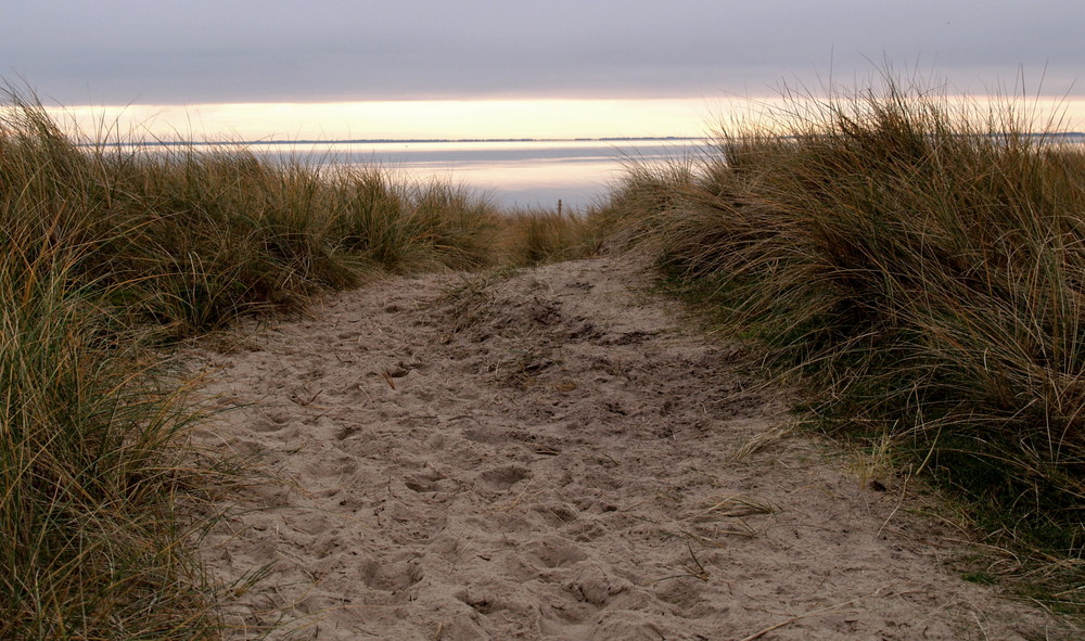 Früher Tag auf Sylt