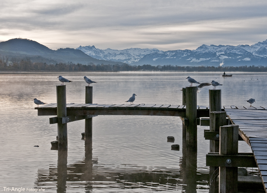 Früher Vogel fängt den Wurm... Foto & Bild landschaft, bach, fluss