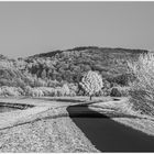 Früher war das ILFORD...