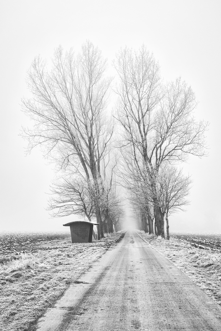 Früher war mehr Frost