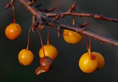 Früher war mehr Lametta