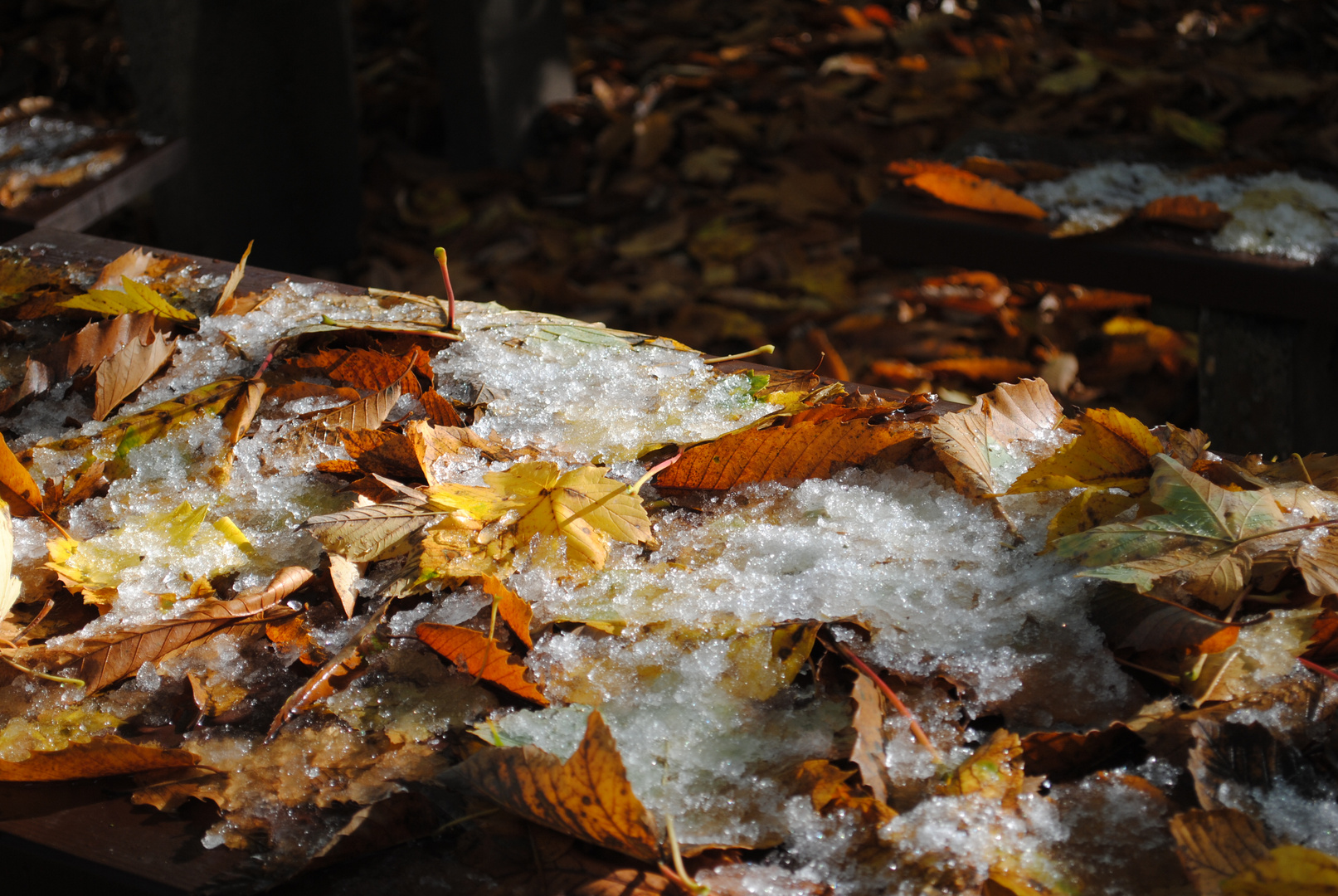 Früher Winter