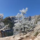 Früher Winter am Dream-Lake im Rocky Mountain NP