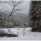 Früher Winter im Ettal