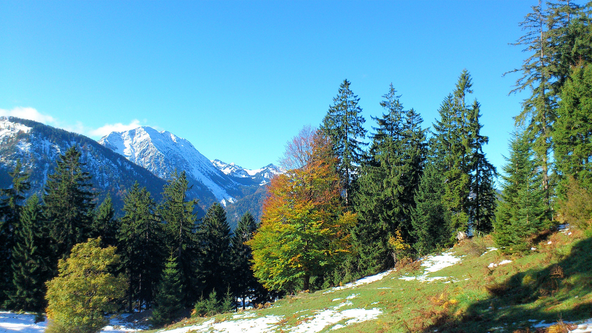 Früher Wintereinbruch