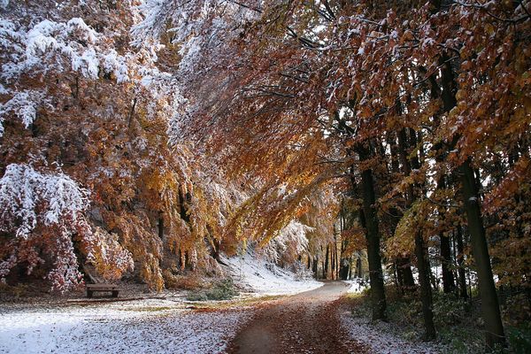Früher Wintereinbruch
