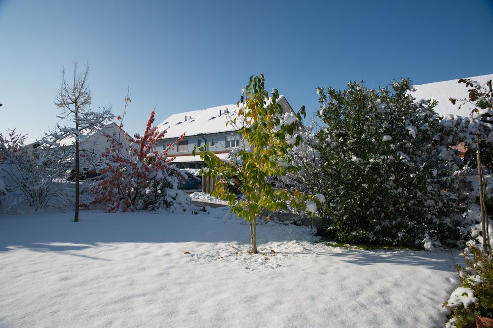 [ Früher Wintereinbruch ]