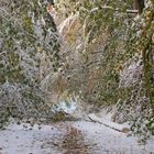 Früher Winterein"bruch"