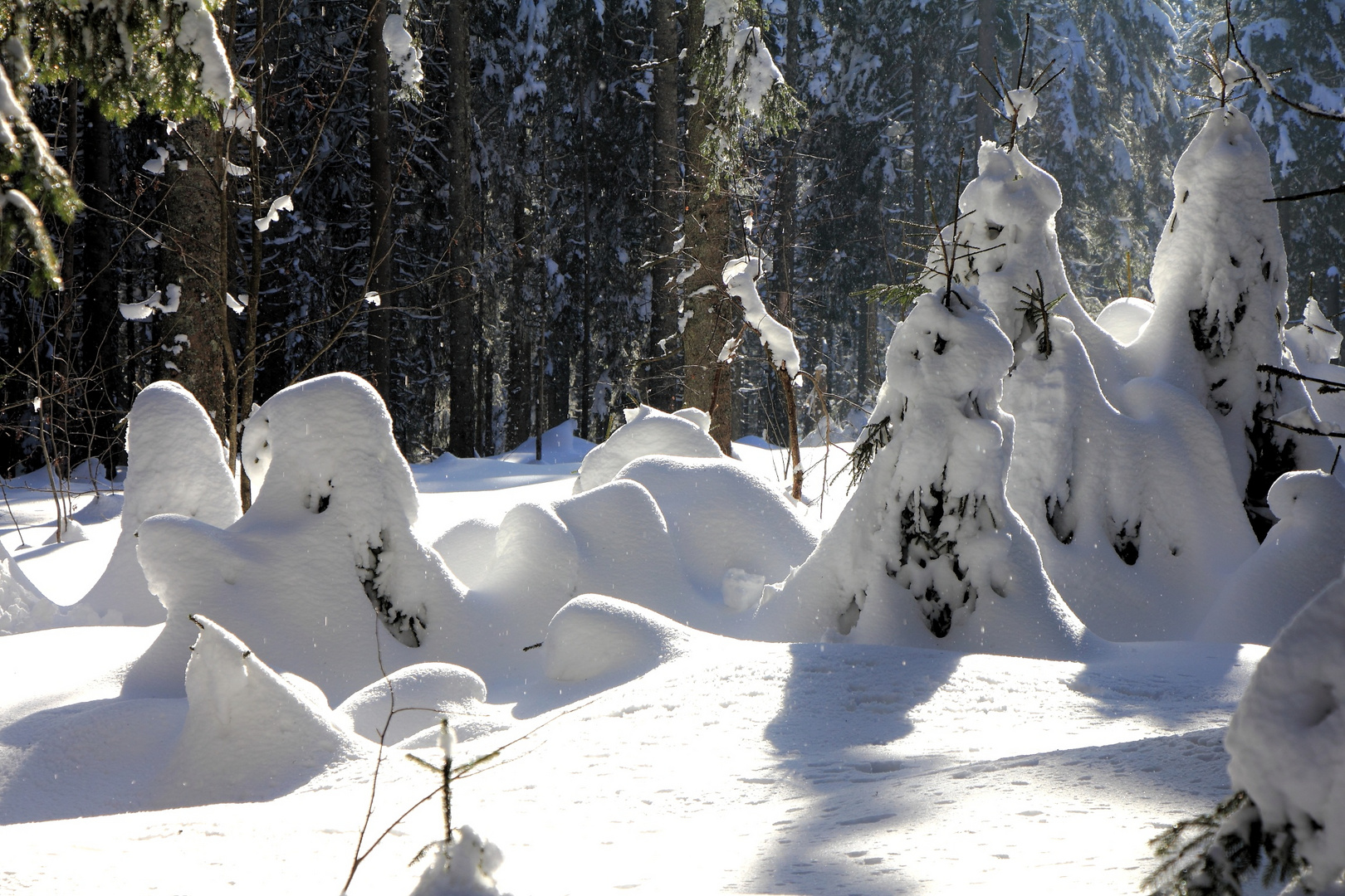 Früherer gab es auch Schnee im Winter 