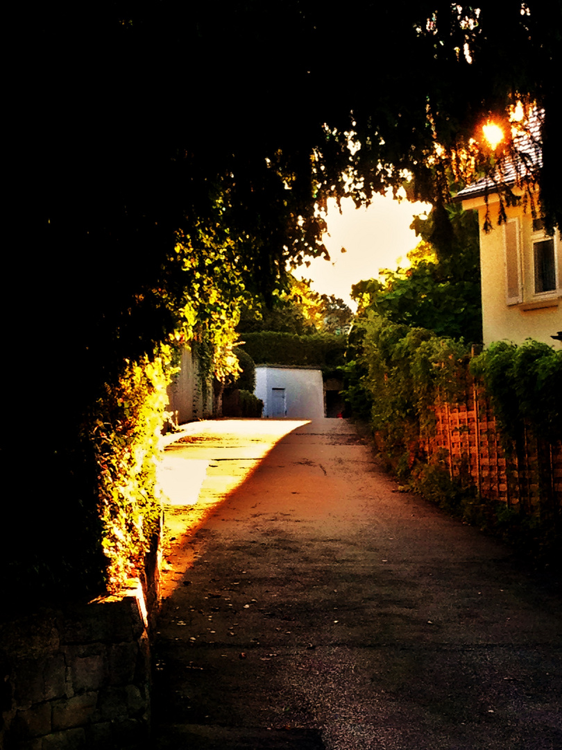 frühes ....Abendlicht