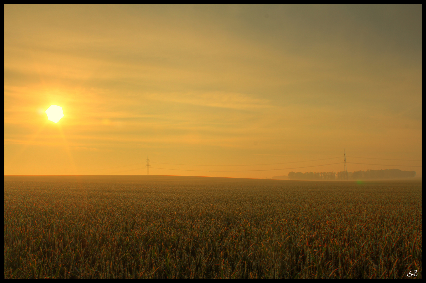 Frühes Erwachen