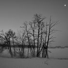 frühes erwachen im nebel des morgens...