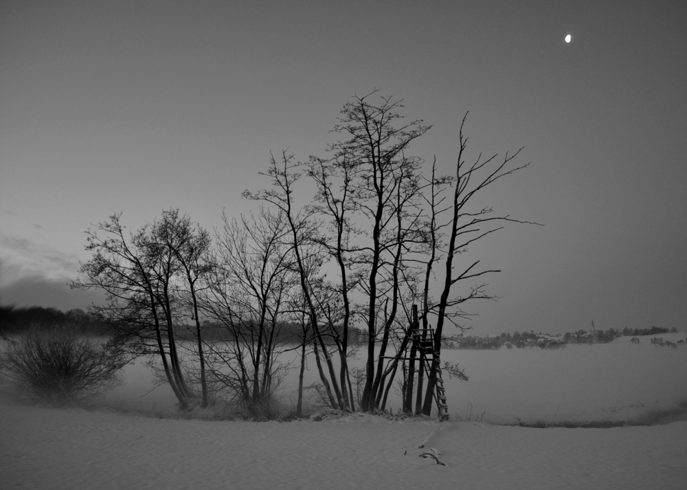 frühes erwachen im nebel des morgens...