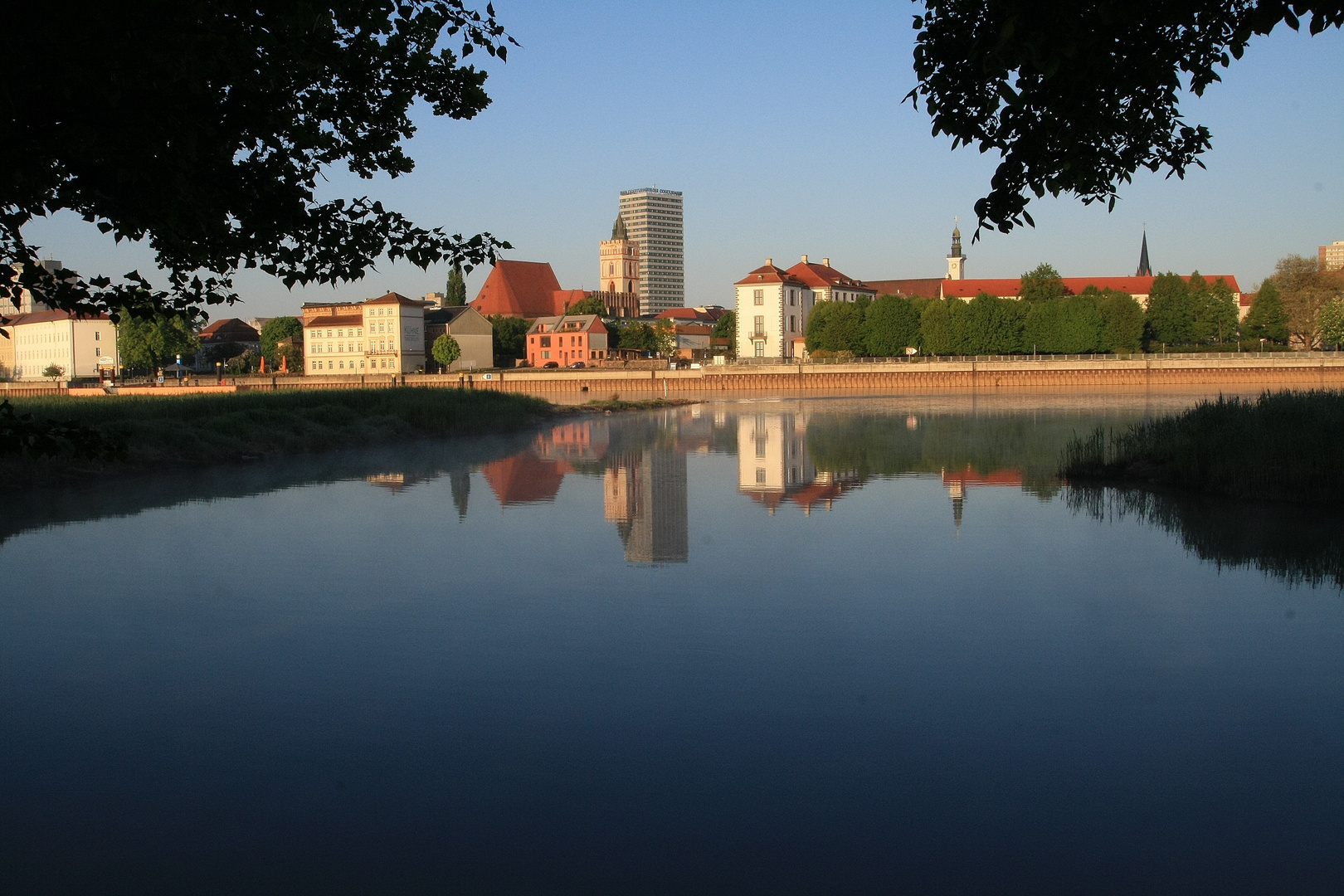 frühes Licht