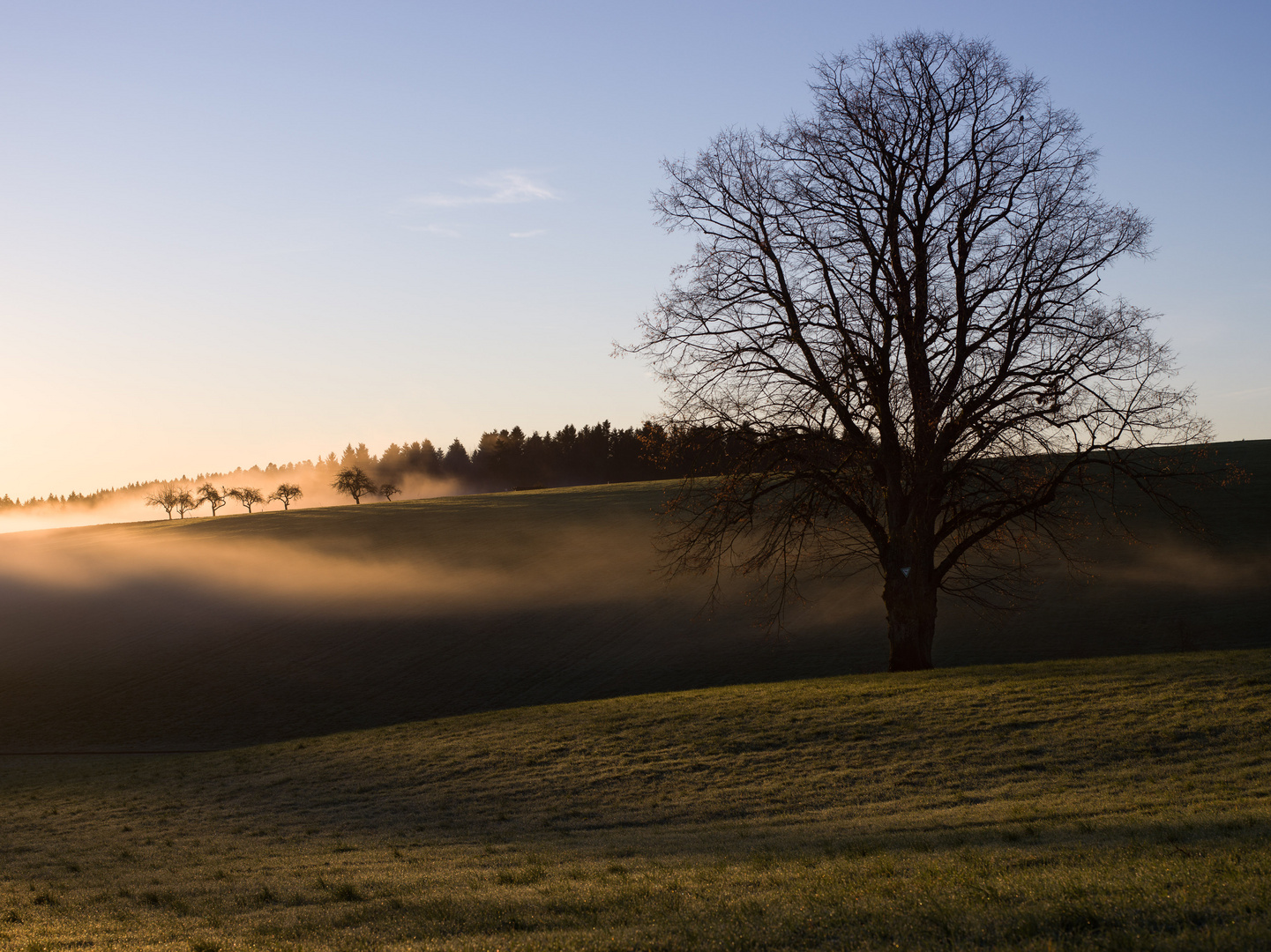 Frühes Licht