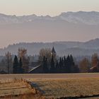 Frühes Licht